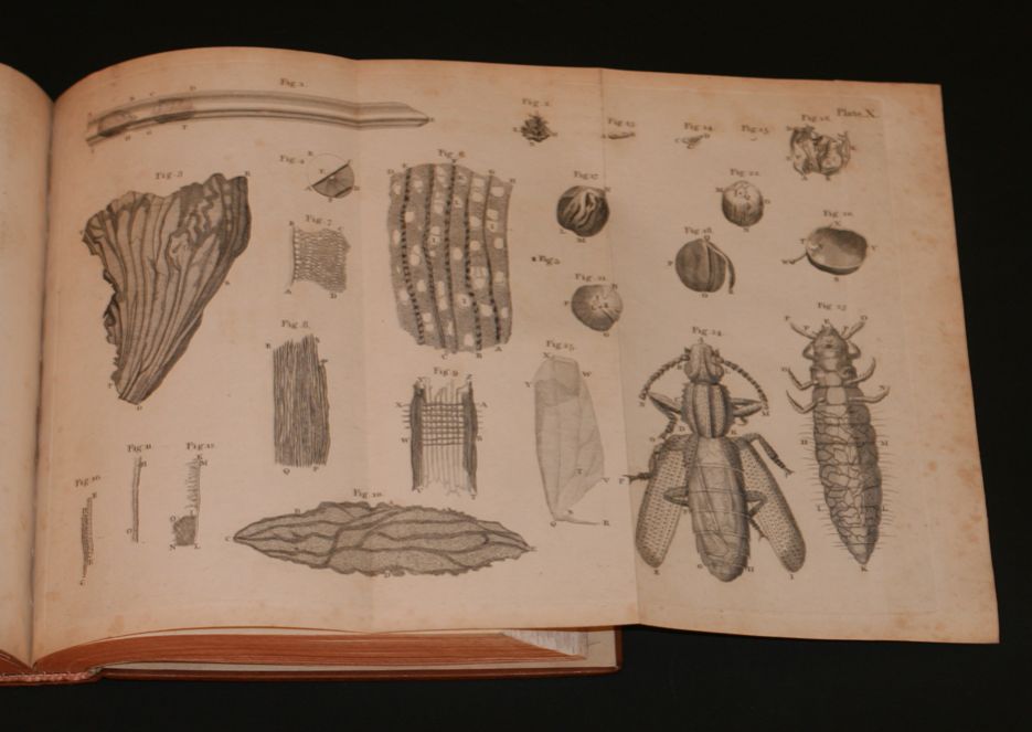 The Select Works of Antony van Leeuwenhoek... Containing his